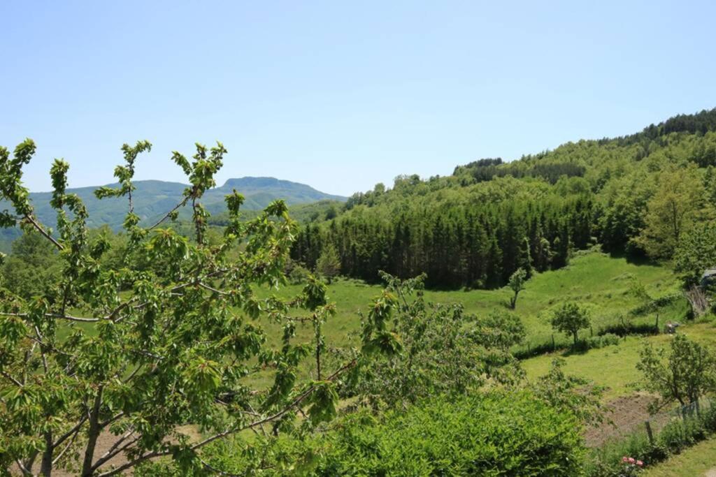La Sala Vecchia - Lovely Tuscan Holiday House Badia Prataglia, Casentino Valley 치우시 델라 베르나 외부 사진