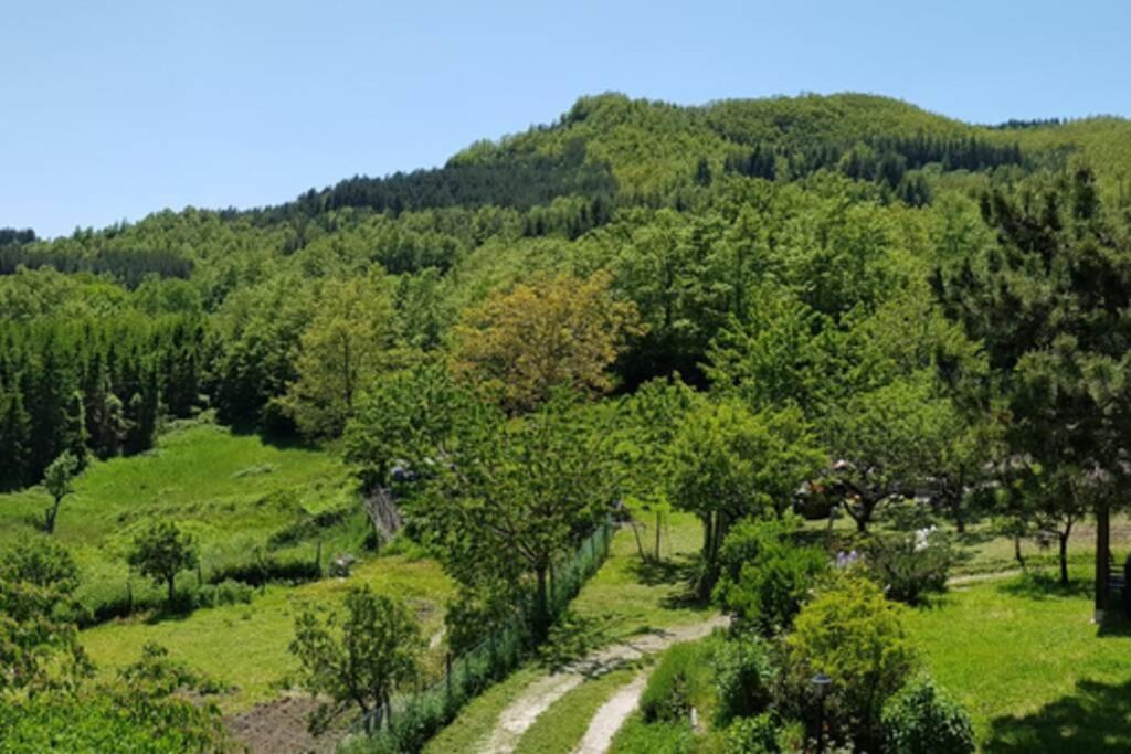 La Sala Vecchia - Lovely Tuscan Holiday House Badia Prataglia, Casentino Valley 치우시 델라 베르나 외부 사진