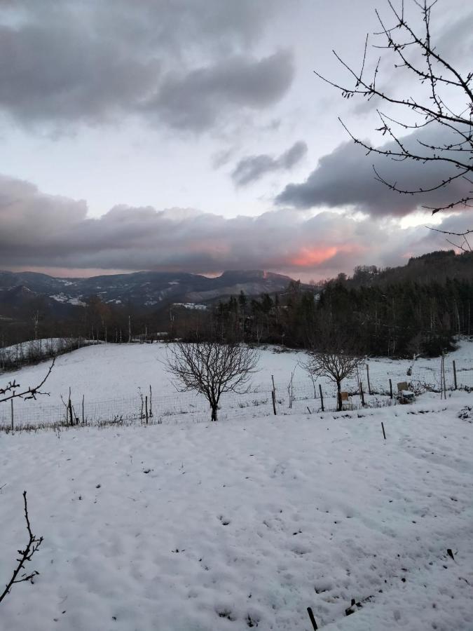 La Sala Vecchia - Lovely Tuscan Holiday House Badia Prataglia, Casentino Valley 치우시 델라 베르나 외부 사진