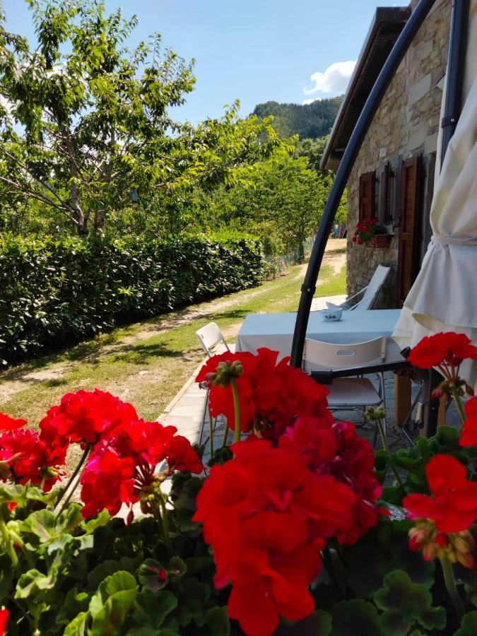 La Sala Vecchia - Lovely Tuscan Holiday House Badia Prataglia, Casentino Valley 치우시 델라 베르나 외부 사진