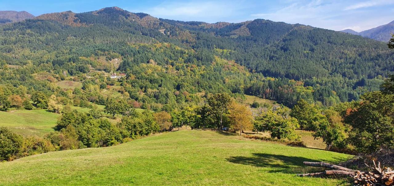 La Sala Vecchia - Lovely Tuscan Holiday House Badia Prataglia, Casentino Valley 치우시 델라 베르나 외부 사진